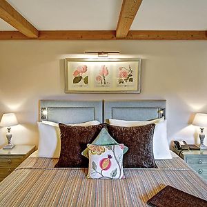 Cozy Double Room